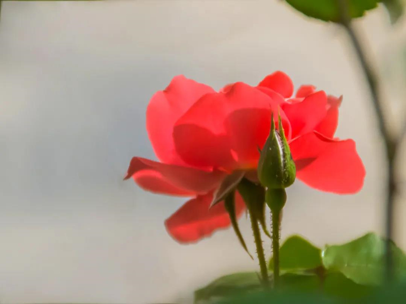 ΢��ͼƬ_20210705161004_����